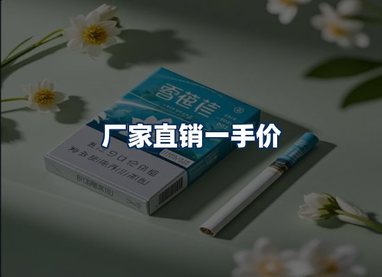 专业团队办公环境